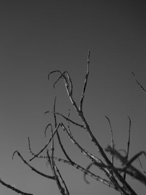 TEXTURA DO SILÊNCIO 02