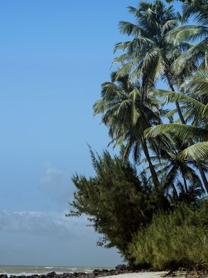 UM PASSO PARA O PARAÍSO