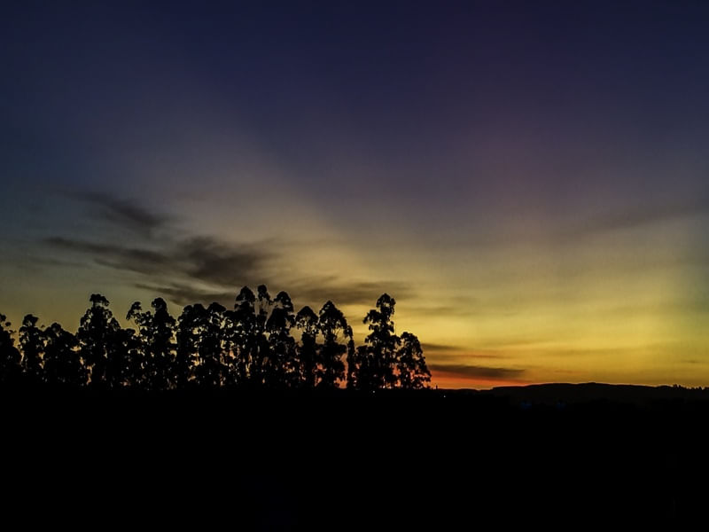 PÔR DO SOL - CREPÚSCULO E ÁRVORES