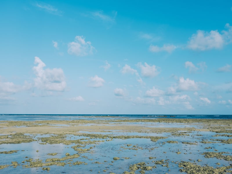 MARÉ BAIXA EM ITAPUÃ