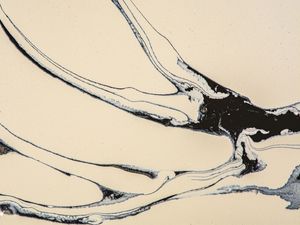INK CLAWS
