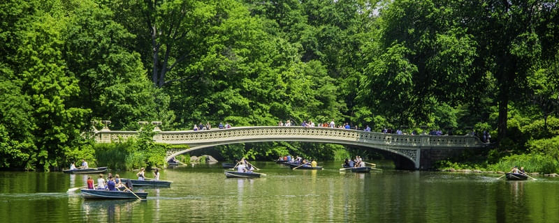 A PONTE E OS BARCOS - PANORAMICA