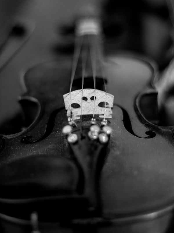 VIOLINO PRETO E BRANCO