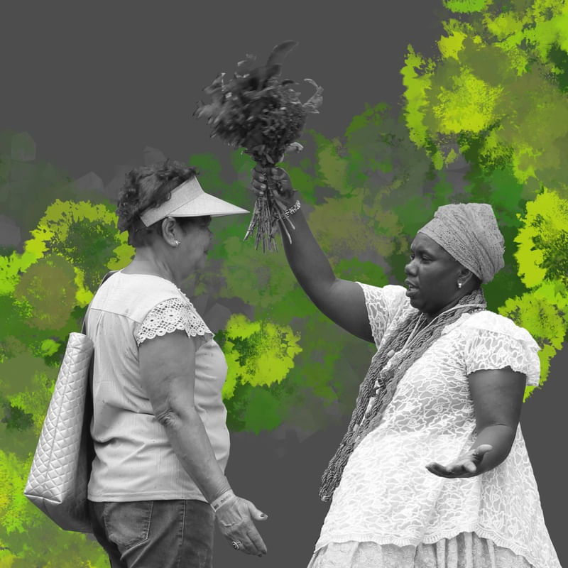 BRASILEIRAS VERDE