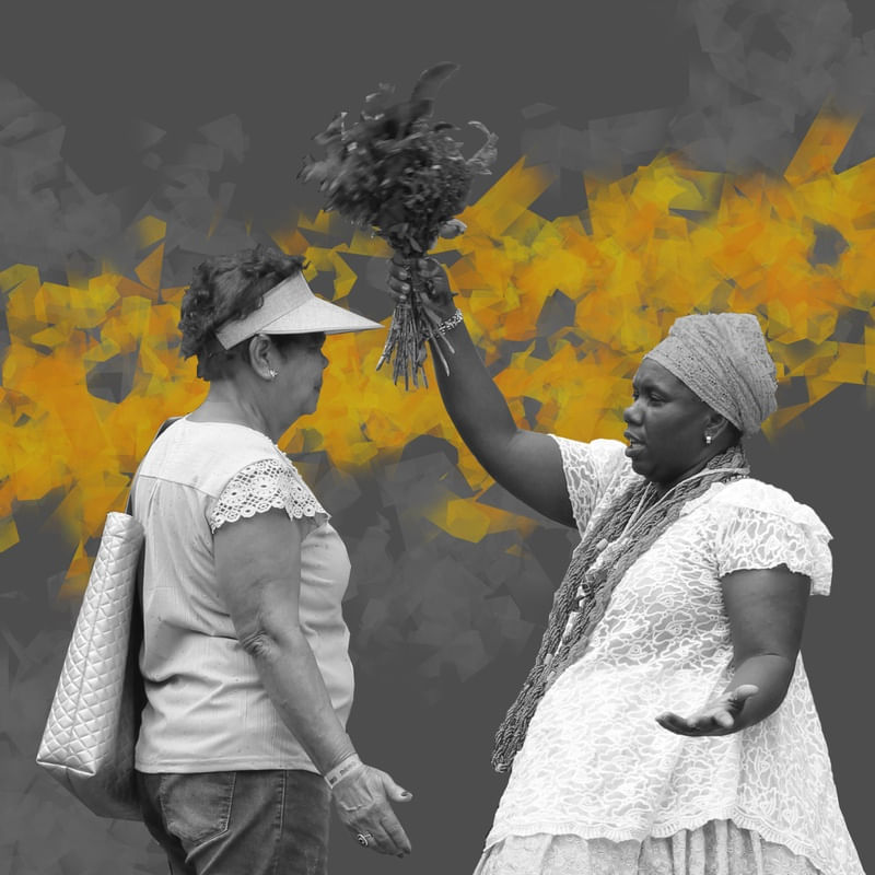 BRASILEIRAS AMARELO