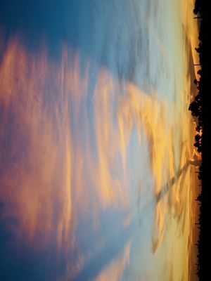 CÉU ASA BORBOLETA 1