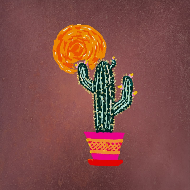 CACTUS IV ES