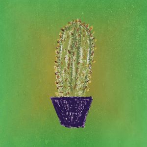 CACTUS V ES