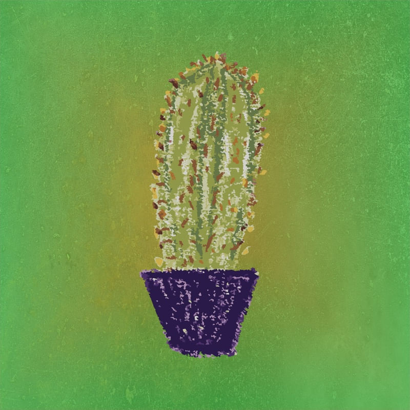 CACTUS V ES