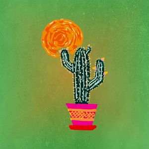 CACTUS VI ES