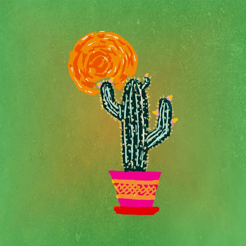 CACTUS VI ES