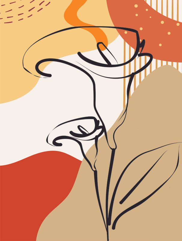 CALLA CORES