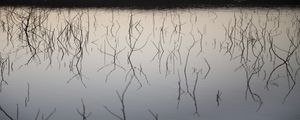 VIDAS SECAS - CAATINGA