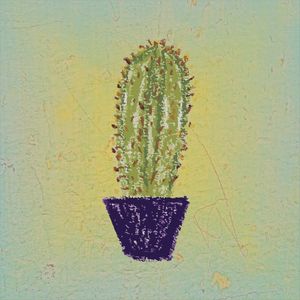 CACTUS I ES
