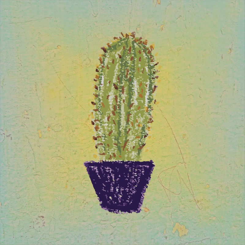 CACTUS I ES