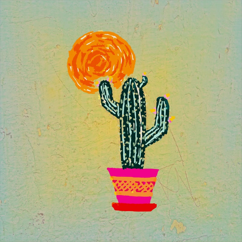 CACTUS II ES