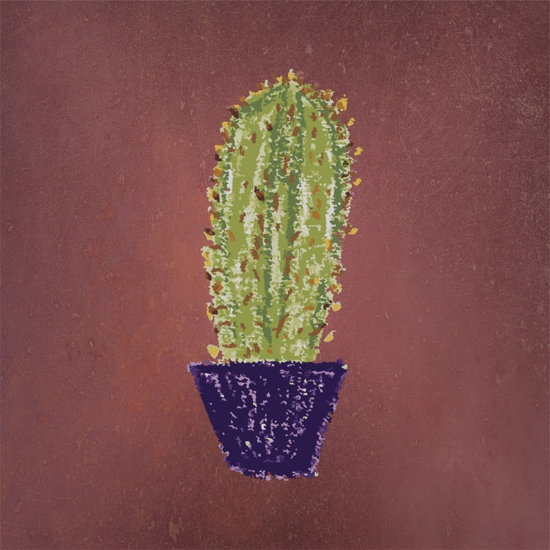 CACTUS III ES