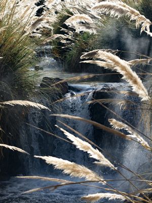 ELEMENTOS