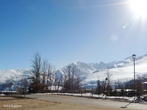 SNOWY FARELLONES