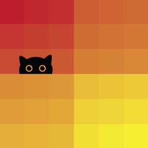 GATO EM CORES