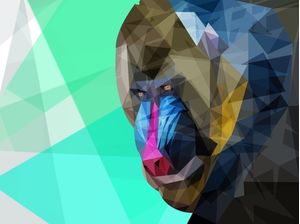 MANDRIL SPACE