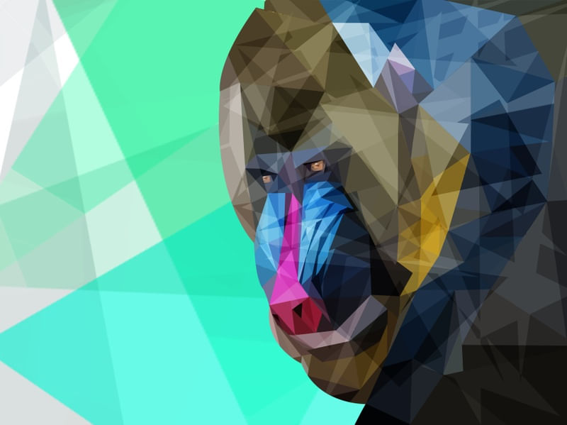 MANDRIL SPACE