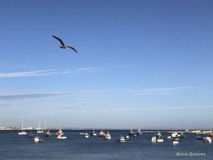 CASCAIS, PORTUGAL IV