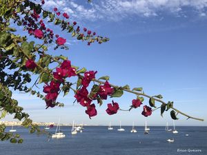 CASCAIS, PORTUGAL V