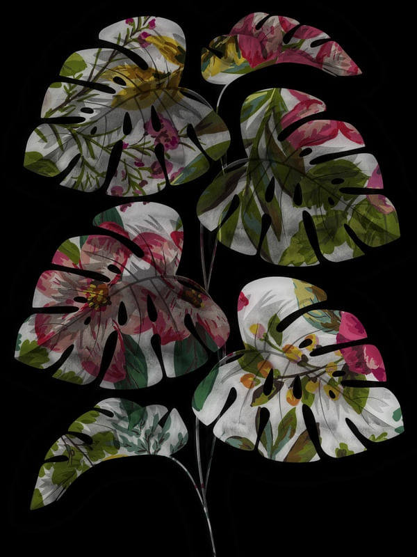 COLORFUL TROPICAL V