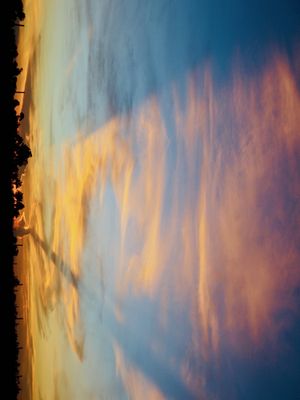 CÉU ASA BORBOLETA 2