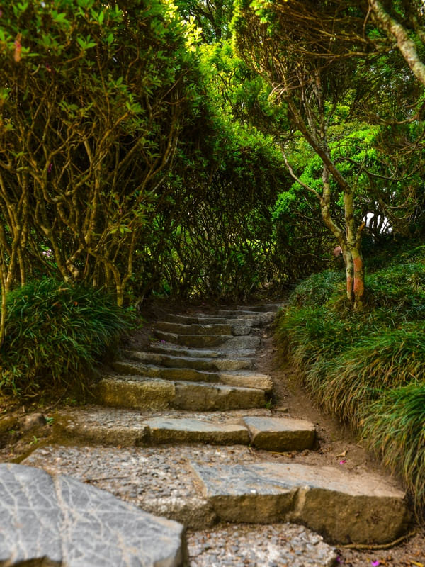 ESCADAS DE UM JARDIM JAPONÊS