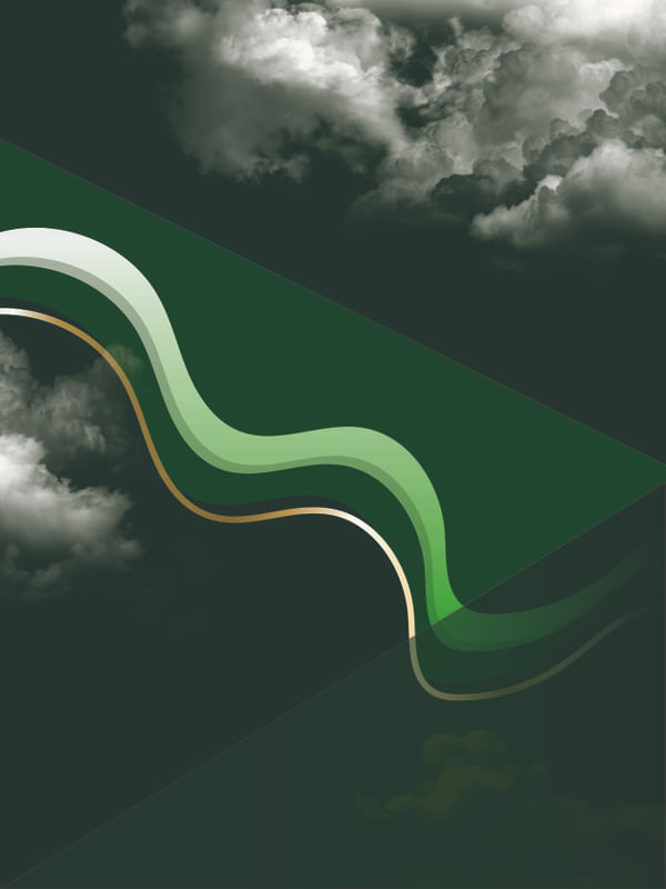 VERT