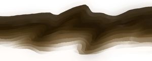 W21