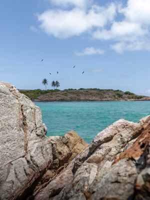 PEDRAS E PÁSSAROS EM PERNAMBUCO