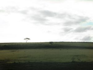 ENJOY THE SILENCE