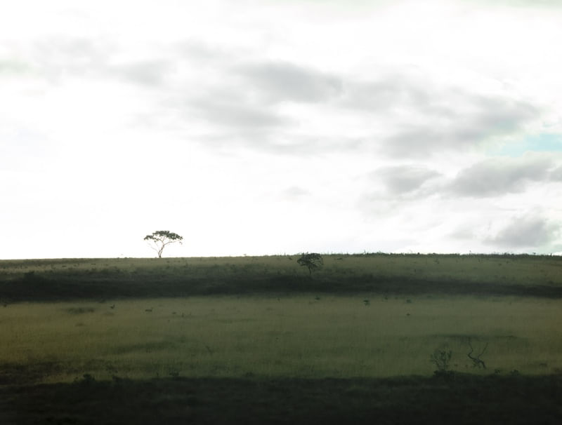 ENJOY THE SILENCE