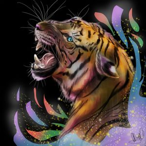 TIGRE SPLAS