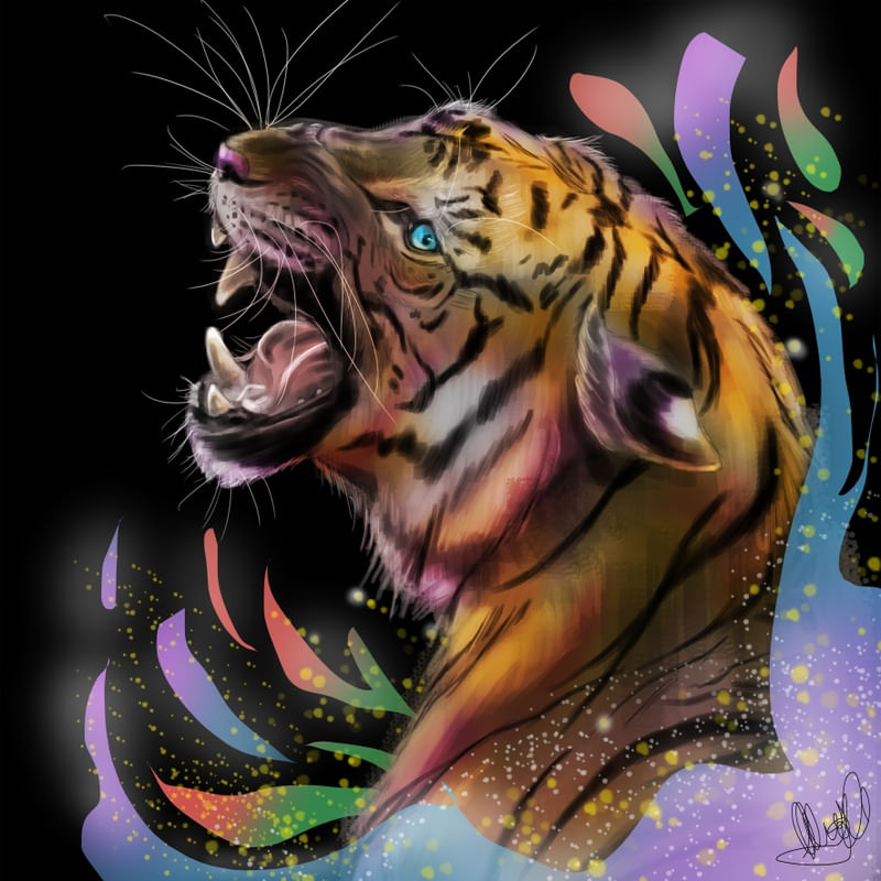 TIGRE SPLAS