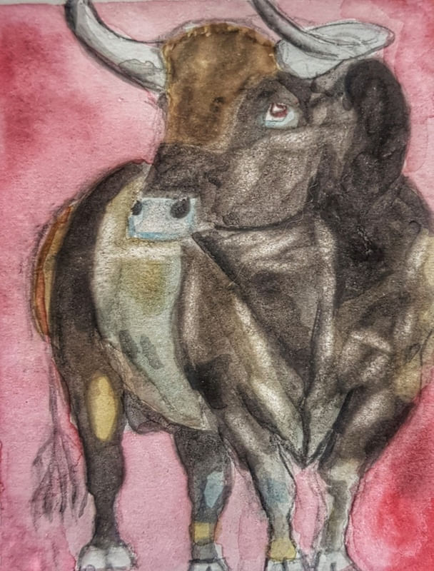 TORITO