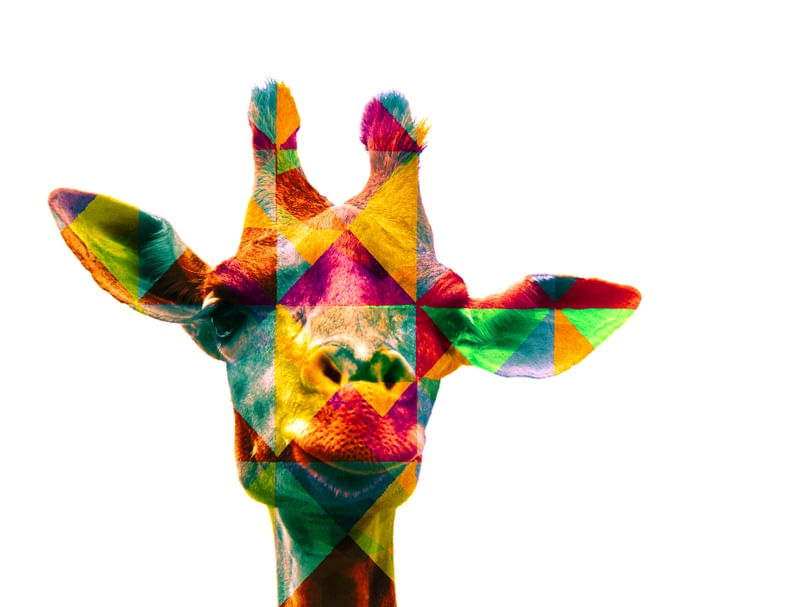 GIRAFA XADREZ I ES