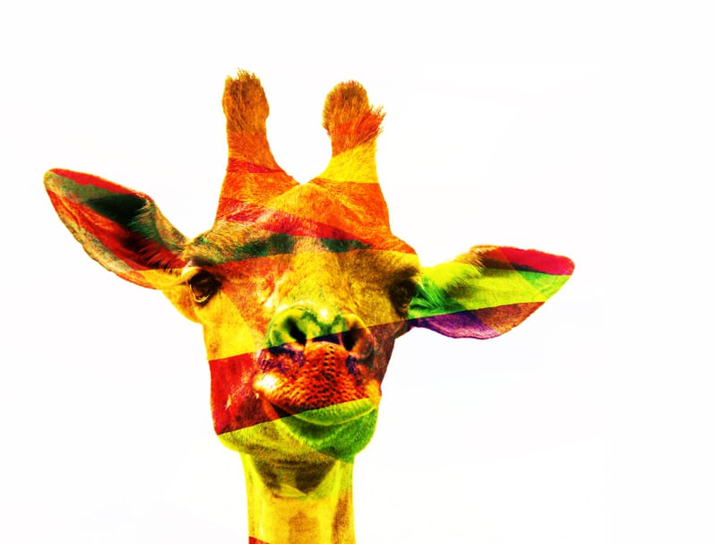 GIRAFA XADREZ II ES