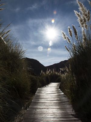 CAMINHO NO DESERTO 2