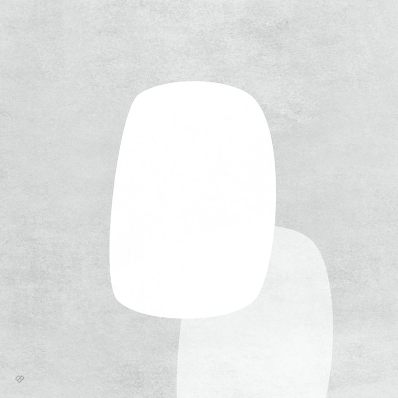LE GRIS ET LE BLANC Q-3