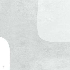LE GRIS ET LE BLANC Q-4