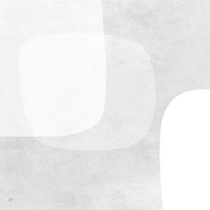 LE GRIS ET LE BLANC Q-7