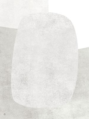LE GRIS ET LE BLANC V-3
