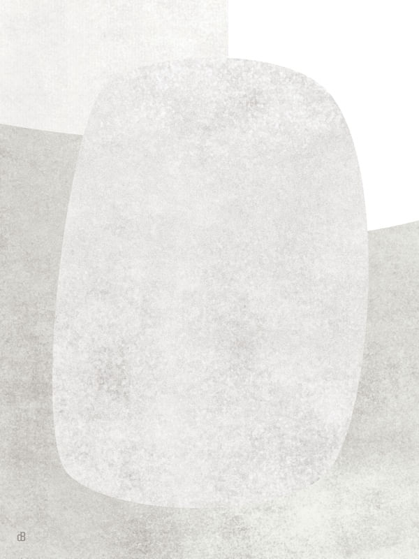 LE GRIS ET LE BLANC V-3