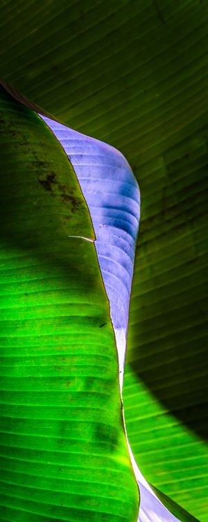 AZUL E VERDE