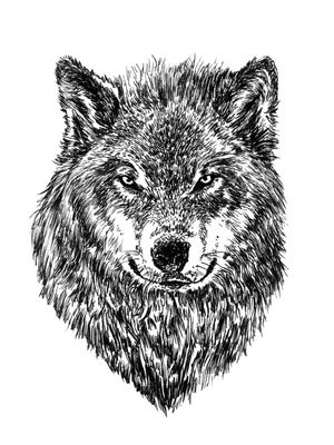 WOLF MINDSET
