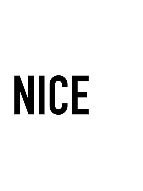 TYPE NICE